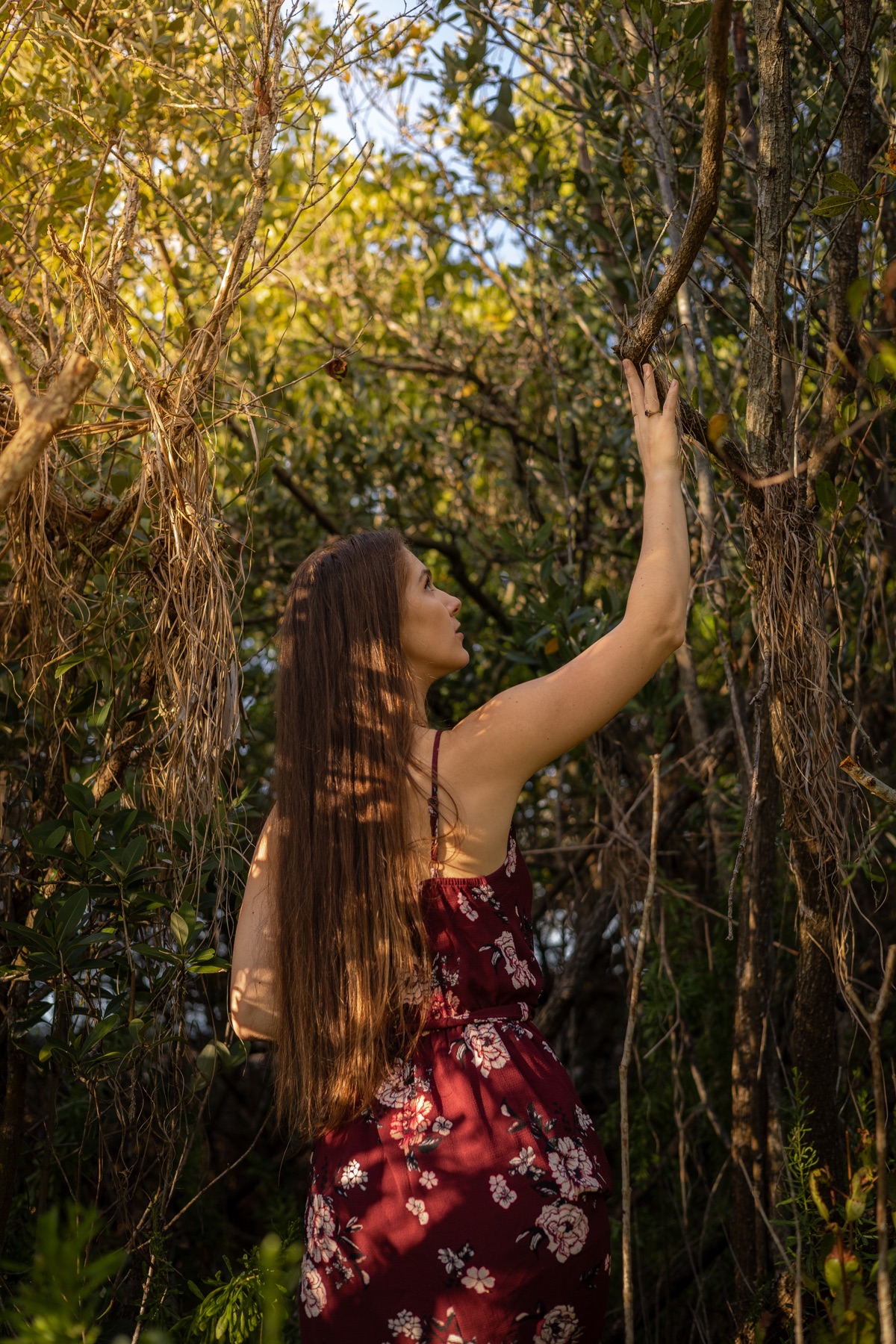 Reaching into mangrove branches, sun catching her hair