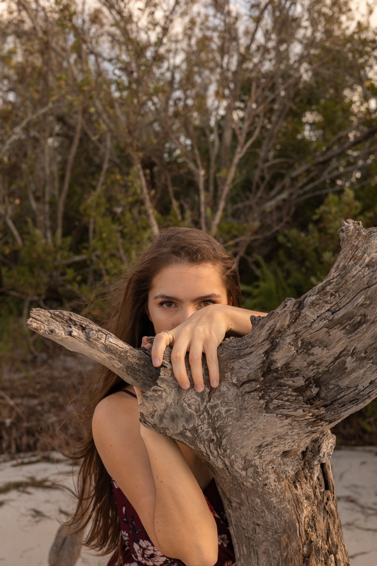 Peeking gently over weathered driftwood